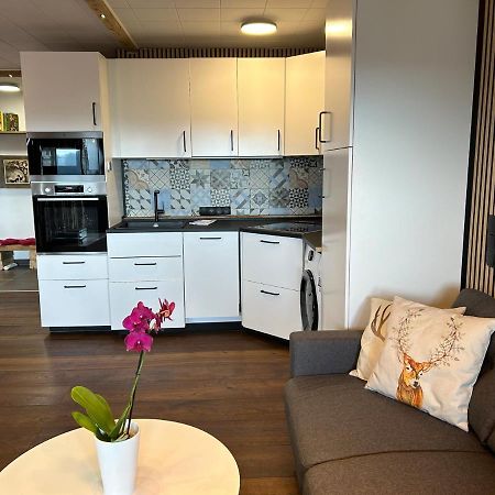 Apartment Fabelwald Black Forest Schonach im Schwarzwald Extérieur photo